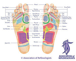 Home. foot map with air logo